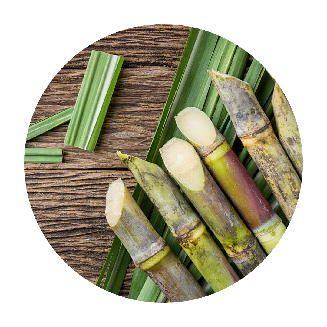 CoLibri eco covers are made of a polyethylene made from sugarcane. It's production process captures carbon dioxide from the atmosphere, helping to reduce greenhouse gas emissions!